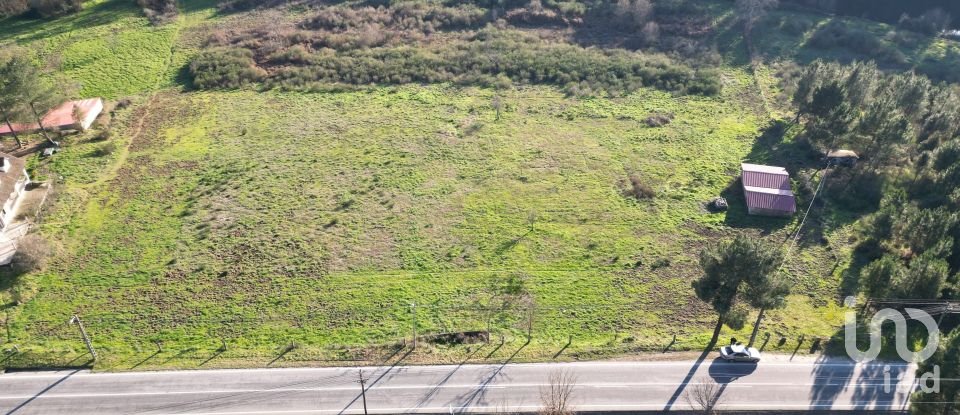 Terreno em Vale de Anta de 20 900 m²
