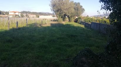 Land in Fontão of 790 m²