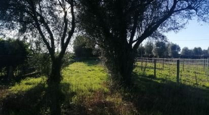 Land in Fontão of 790 m²