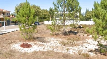 Terrain à Ovar, São João, Arada e São Vicente de Pereira Jusã de 576 m²