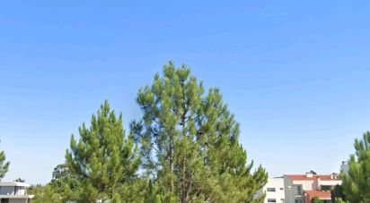 Terrain à Ovar, São João, Arada e São Vicente de Pereira Jusã de 576 m²