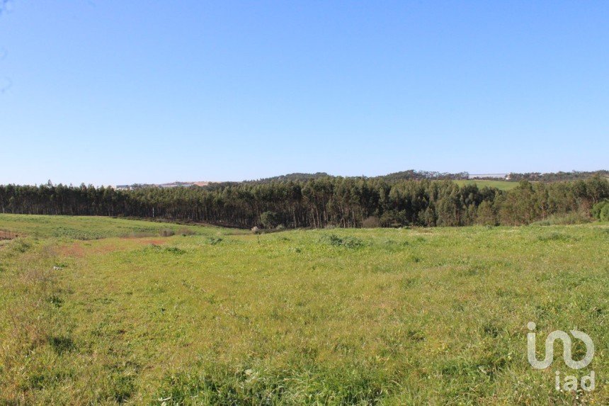 Farm land in Silveira of 36,800 m²