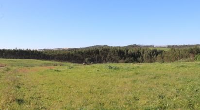 Terrain agricole à Silveira de 36 800 m²