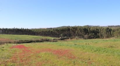 Farm land in Silveira of 36,800 m²
