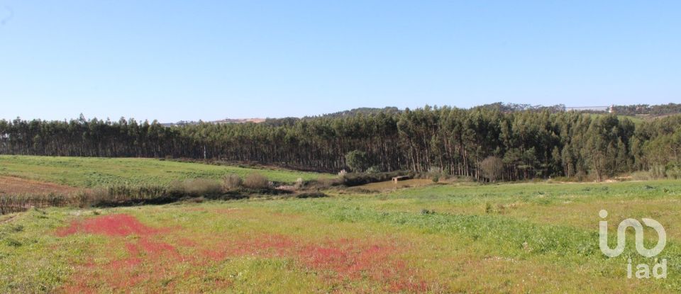Agricultural land in Silveira of 36,800 m²