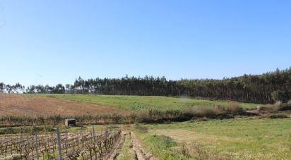 Farm land in Silveira of 36,800 m²