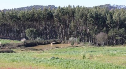 Farm land in Silveira of 36,800 m²
