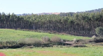 Terrain agricole à Silveira de 36 800 m²