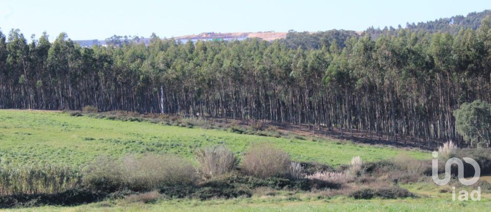 Farm land in Silveira of 36,800 m²