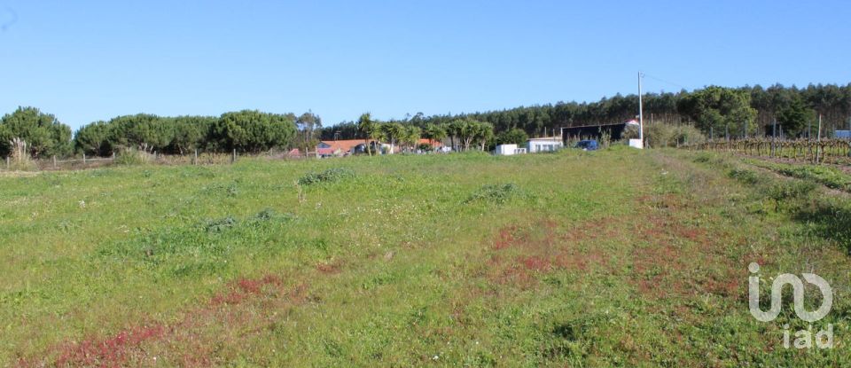 Farm land in Silveira of 36,800 m²