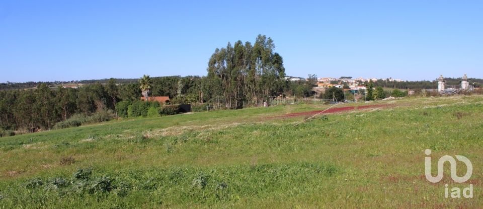 Terrain agricole à Silveira de 36 800 m²