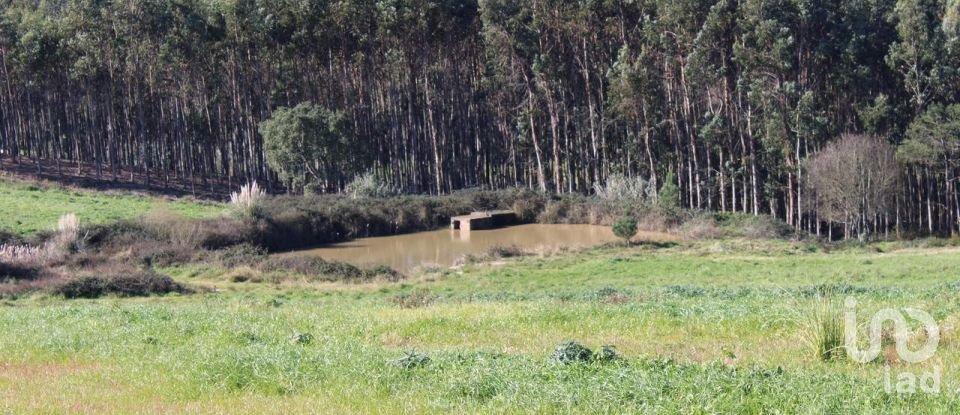 Farm land in Silveira of 36,800 m²