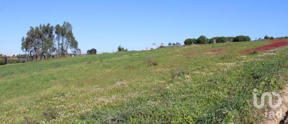 Farm land in Silveira of 36,800 m²