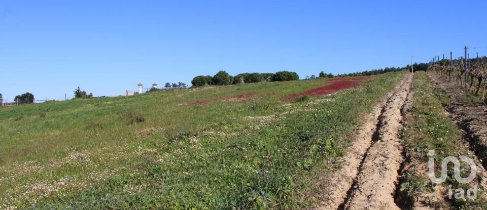 Farm land in Silveira of 36,800 m²