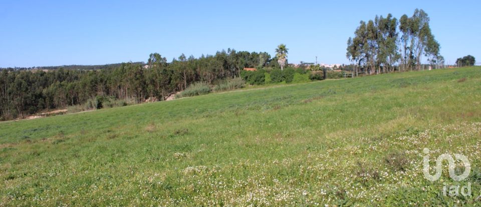 Agricultural land in Silveira of 36,800 m²