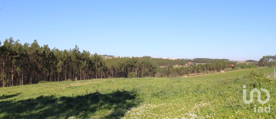 Farm land in Silveira of 36,800 m²
