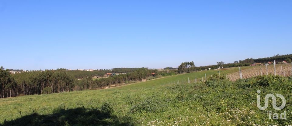 Farm land in Silveira of 36,800 m²