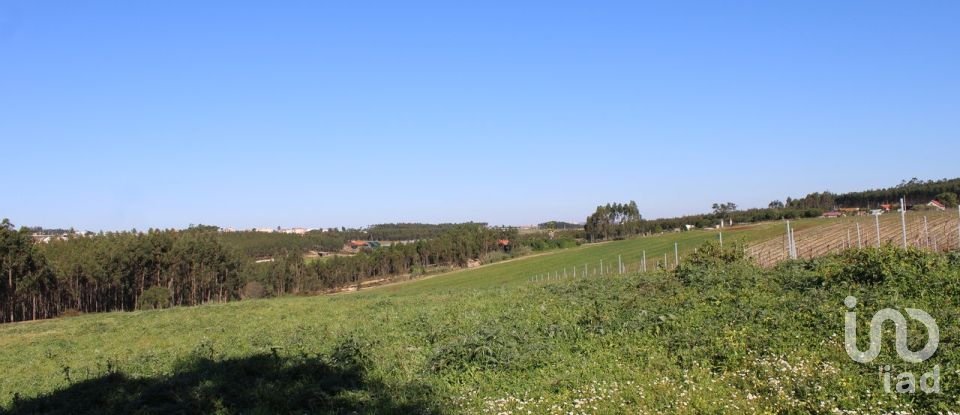 Terrain agricole à Silveira de 36 800 m²