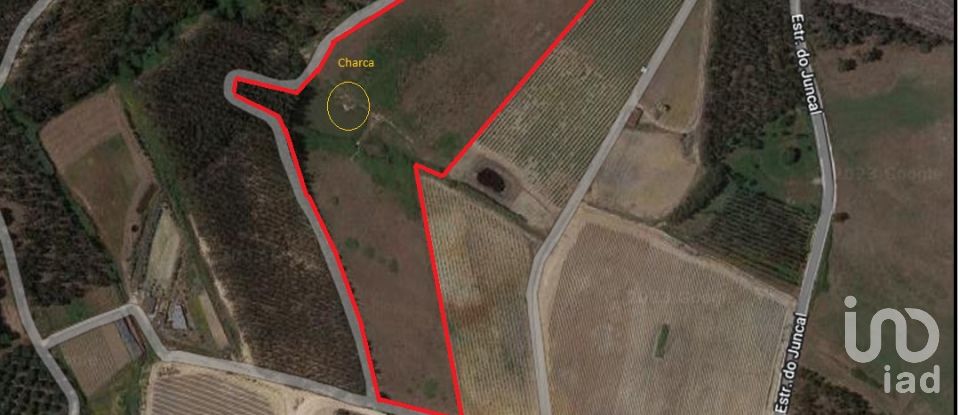Farm land in Silveira of 36,800 m²