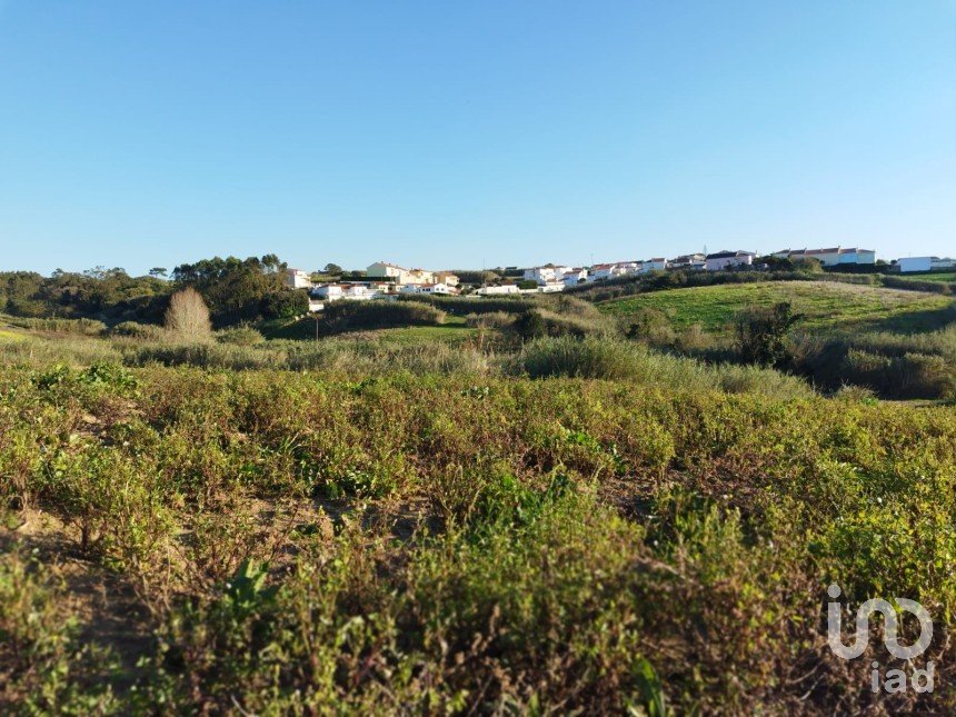Land in Lourinhã e Atalaia of 7,960 m²