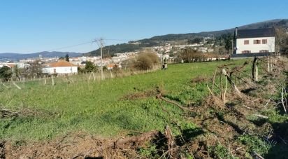 Terrain à Prado e Remoães de 5 800 m²