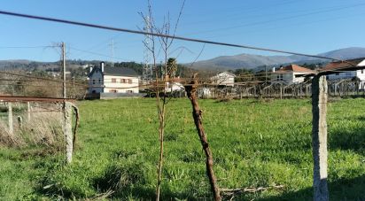 Terrain à Prado e Remoães de 5 800 m²