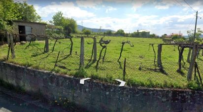 Terrain à Prado e Remoães de 5 800 m²