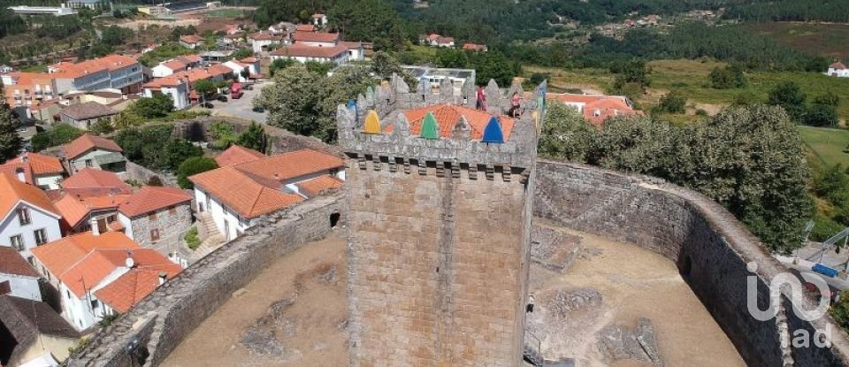 Terreno em Prado e Remoães de 5 800 m²