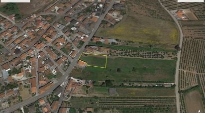 Terrain à bâtir à Bombarral e Vale Covo de 1 320 m²