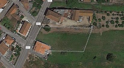 Terrain à bâtir à Bombarral e Vale Covo de 1 320 m²