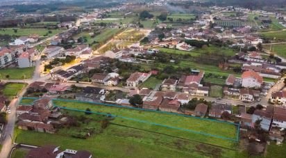 Terreno em Bustos, Troviscal e Mamarrosa de 2 900 m²