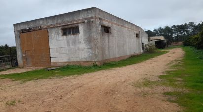 Terreno em Conceição e Estoi de 77 880 m²