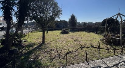 Farm T4 in Monte Real e Carvide of 165 m²
