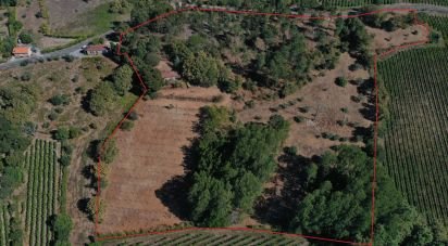 Maison T2 à Vila Boa de Quires e Maureles de 12 913 m²