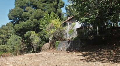 Maison T2 à Vila Boa de Quires e Maureles de 12 913 m²