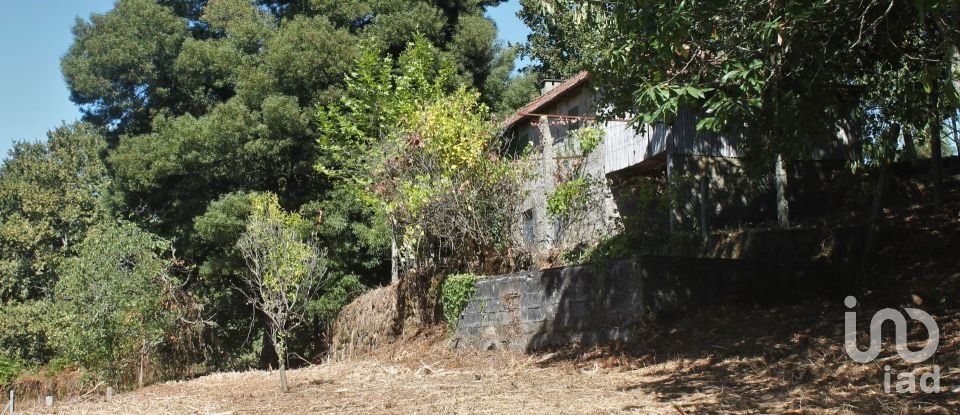 Casa / Villa T2 em Vila Boa de Quires e Maureles de 12 913 m²