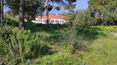 Terrain à Sesimbra (Castelo) de 2 190 m²