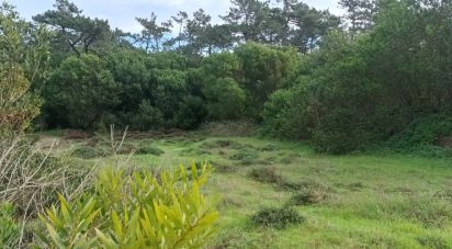 Terrain à Antas de 2 340 m²