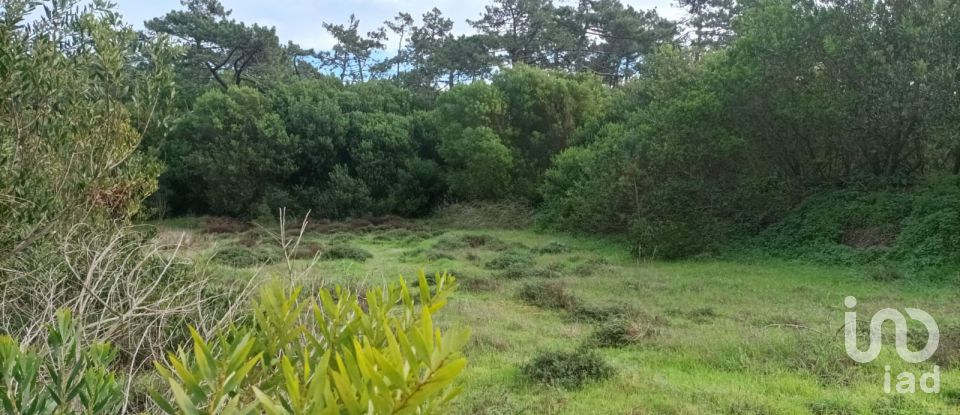 Terreno em Antas de 2 340 m²