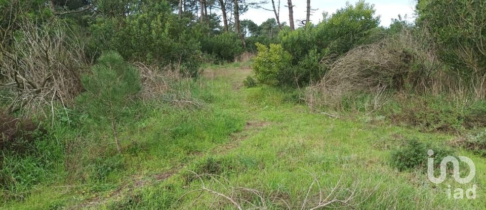 Terreno em Antas de 2 340 m²