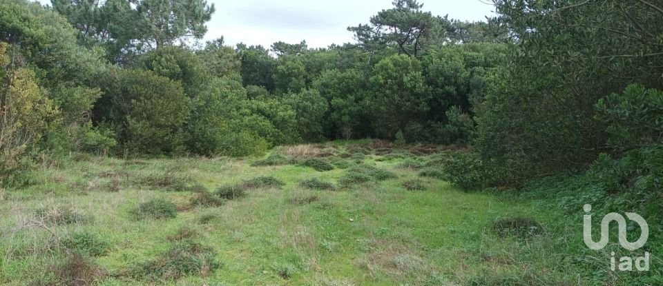 Terreno em Antas de 2 340 m²