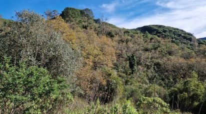 Surface diverse T0 à Porto de Mós - São João Baptista e São Pedro de 105 m²