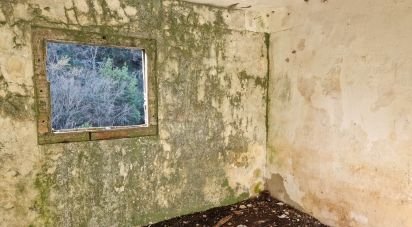 Surface diverse T0 à Porto de Mós - São João Baptista e São Pedro de 105 m²