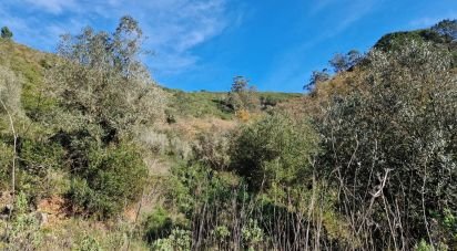 Surface diverse T0 à Porto de Mós - São João Baptista e São Pedro de 105 m²