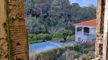 Surface diverse T0 à Porto de Mós - São João Baptista e São Pedro de 105 m²