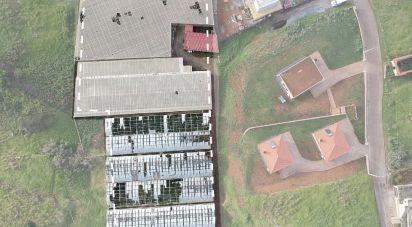 Building plot in Prazeres of 5,000 m²