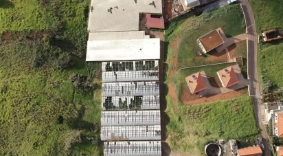 Building plot in Prazeres of 5,000 m²