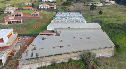 Building plot in Prazeres of 5,000 m²