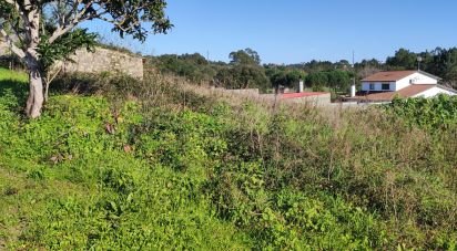 Terrain à Leiria, Pousos, Barreira e Cortes de 792 m²