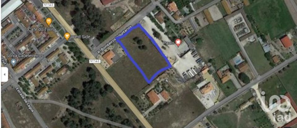 Land in Salvaterra de Magos e Foros de Salvaterra of 1,000 m²
